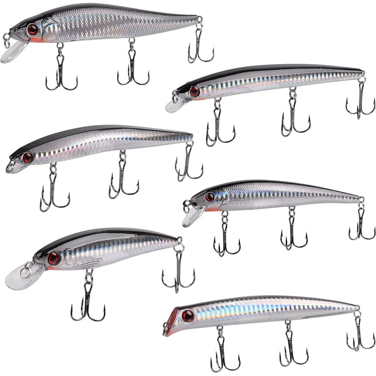 Striped Bass Live Sea Fishing Bait Near Me Top Notch Tackle