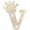 A2, variant on Gold Brooches and Pins for Women A-Z Letter Rhinestone Brooch Pins Gold Initial Crown Crystal Pin for Clothes Socks Backpacks Personalized Alphabet Jewelry Gift