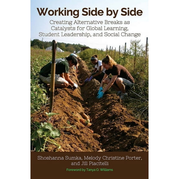 Working Side by Side: Creating Alternative Breaks as Catalysts for Global Learning, Student Leadership, and Social Change (Paperback)