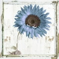 thumbnail image 2 of Sommers, Mindy 15x15 Gold Ornate Wood Framed with Double Matting Museum Art Print Titled - Blue Sunflower Redux II, 2 of 4