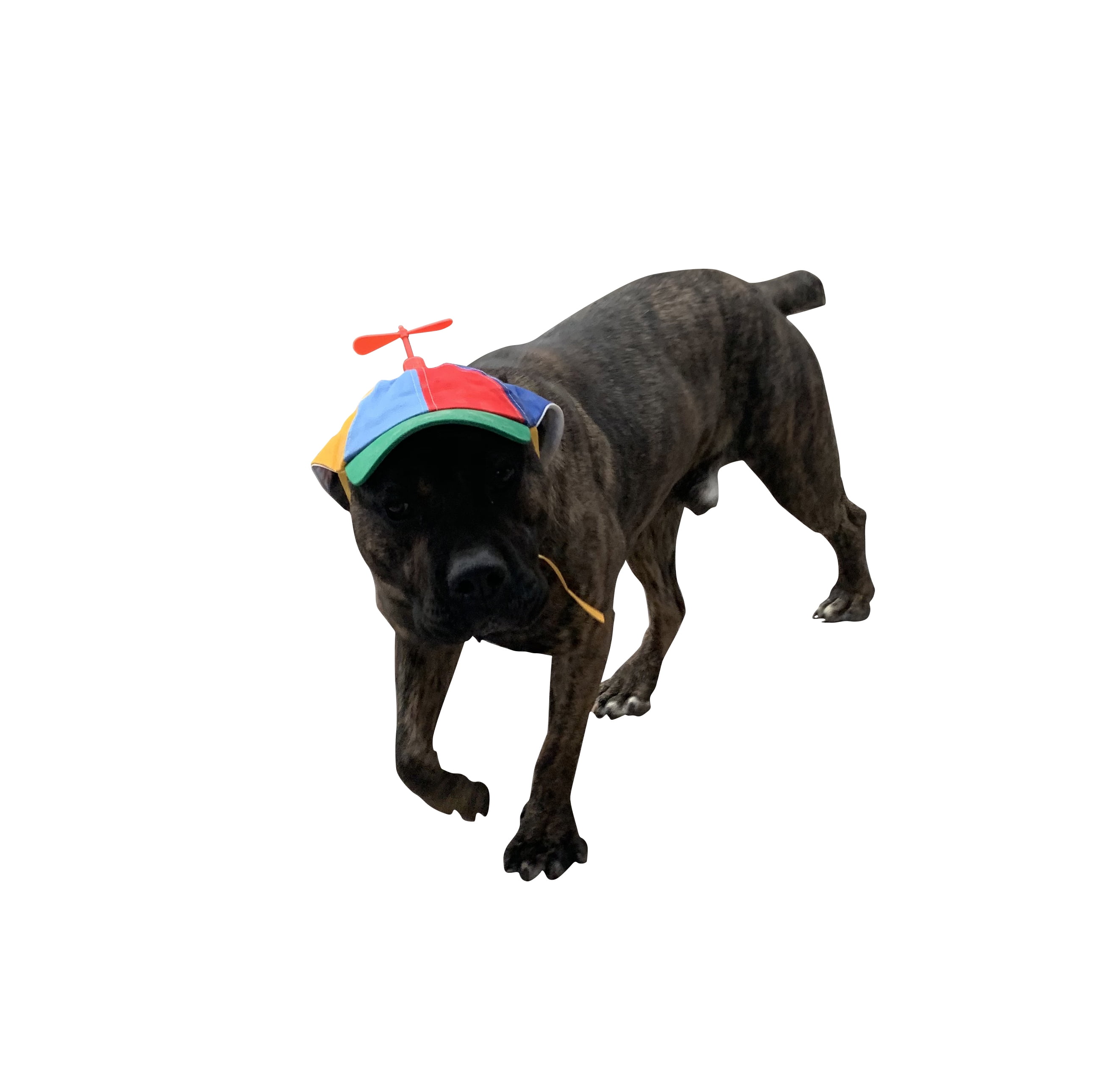 Dog Hats with Funny Propeller, Size and Rope Double Adjustment Pet Hats