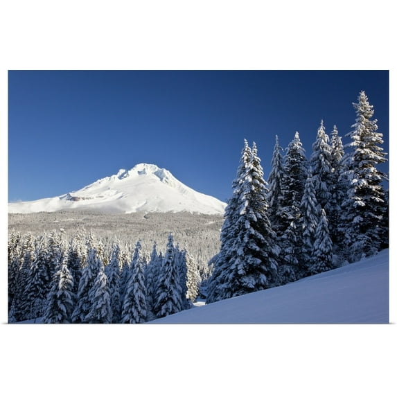 Great BIG Canvas | "Winter Snow Over The Cascade Range; Mount Hood, Oregon, USA" Art Print - 48x32
