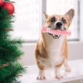 thumbnail image 6 of PENGXIANG Dog Chew Toys, Puppy Toothbrush Clean Teeth Interactive Candy Toys, Non-Toxic Natural Rubber Dog Toys for Aggressive Chewers Breed, Dog Toys Aggressive Chewers Small Medium Breed, 6 of 6