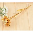 thumbnail image 5 of ERTZAE Mothers Day Flowers Gifts,Gold 10.24" 24K Gold Dipped Carnation,Flower Gifts From Daughter Son,Gifts For Mom Wife Girlfriend Grandma Teacher,Birthday Anniversary Valentines Day&nbsp;Gifts, 5 of 5