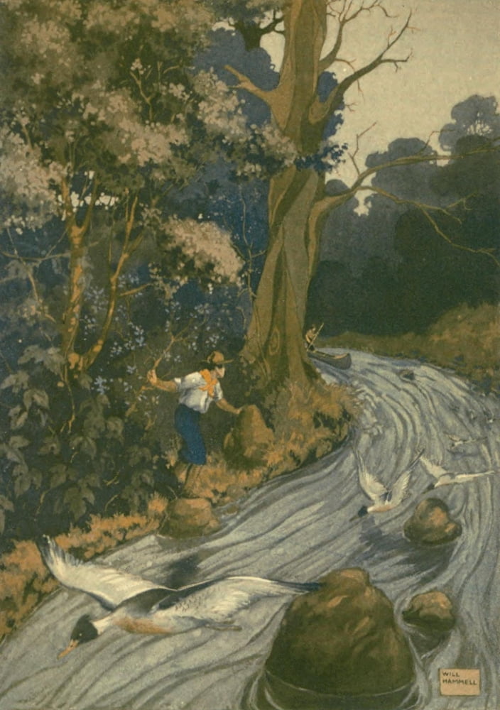 Canoeing In The Wil
