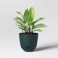 thumbnail image 3 of 8"x8" Self Watering Plastic Plant Pots, Durable Breathable Flower Planters, Indoor Outdoor Universal Use, Convenient Water Absorption Design for Garden Balcony Home Plant Cultivation, 3 of 4