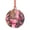 Round Shape, variant on Honeii Cheetah On Toilet Humor Art Print Christmas Tree Acrylic Ornament | Christmas Decoration, Living Room Bedroom Garden Seasonal Decor for Christmas Tree-Round Shape