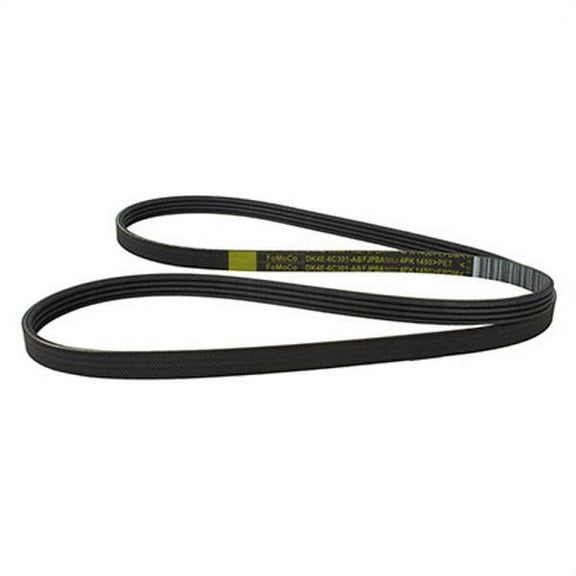 Motorcraft V-BELT (P)