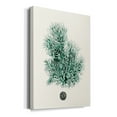 thumbnail image 2 of Antique Coastal Coral V Premium Gallery Wrapped Canvas - Ready to Hang, 2 of 9