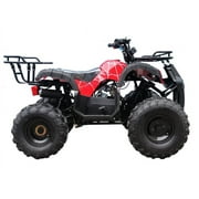 Tao Tao T Force 125 cc ATV Reverse and Big 19 18 Tires Utility Model Carb