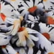 thumbnail image 5 of Daisy Print Mujeres Niñas Yoga Gimnasio Leggings Compresión Pantalones XL SG Colco Leggings de Yoga para Yoga, 5 of 8