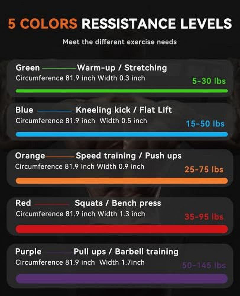 Pull Up Assistance Bands - Set of 5 Resistance Heavy Duty Workout Exercise Stretch Fitness Bands Assist Set for Body,Instruction Guide and Carry Bag Included