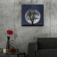 thumbnail image 5 of Epic Art 'Full Moon' by Lori Deiter, Acrylic Glass Wall Art, 24"x24", 5 of 8