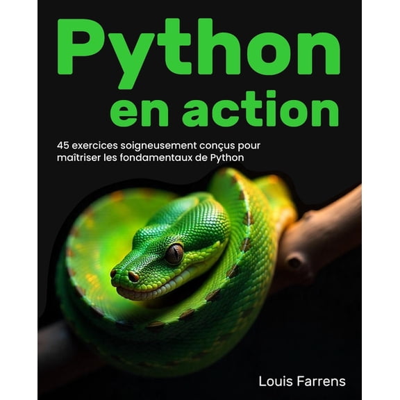 Python en action: 45 exercices soigneusement conçus pour maîtriser les fondamentaux de Python, (Paperback)
