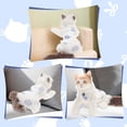 thumbnail image 5 of Unique Bargains Cat Recovery Suit Soft Breathable Cat Surgeries Suit Cat Onesie for Cats After Surgeries Prevents Licking Wounds M White 1Pcs, 5 of 7