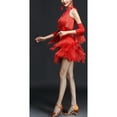 thumbnail image 3 of Jive Cha Cha Ballroom Dance Dancer Workout Performance Uniforms Dresses Outfits, 3 of 3