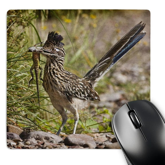 3dRose, Greater Roadrunner bird, Texas, USA - US44 LDI0513 - Larry Ditto, MousePad