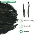 thumbnail image 2 of Uxcell Paquete de 20 Plumas para Manualidades, Plumas Naturales Esponjosas Negras de 9.84-11.81 Pulgadas para Decoraciones de Bodas, 2 of 6