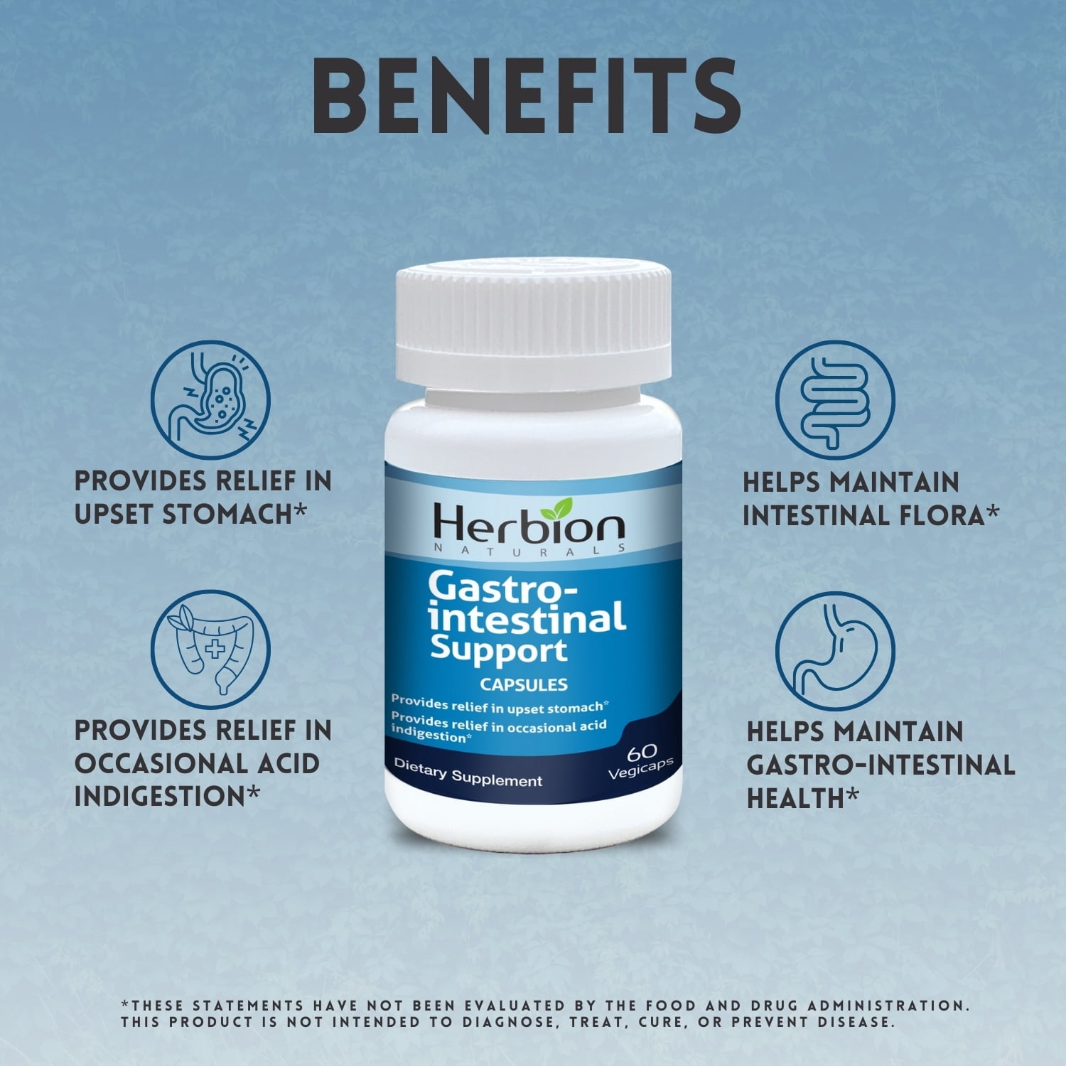 Herbion Naturals Gastro-intestinal Support Herbal Blend for Upset Stomach Relief, Gastrointestinal Health and Function, Occasional Acid Indigestion, Healthy Intestinal Flora, 60 Vegicaps