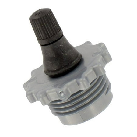 Valterra P23508VP Gray RV Blow-Out Plug with Shrader (Best Rv Value For The Money)