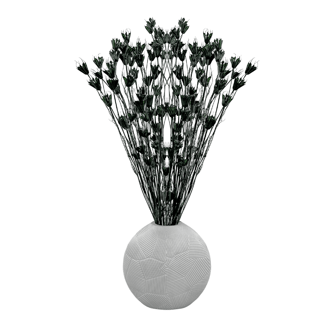 Bergamo Art Bundle of 4 Dried Octagon Flower in Dark Green