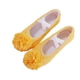 thumbnail image 2 of jianru Ballet Shoes for Girls Elastic Straps Non Slip Soft Sole Floral Canvas Professional Dance Shoes for Toddler Kids, 2 of 9