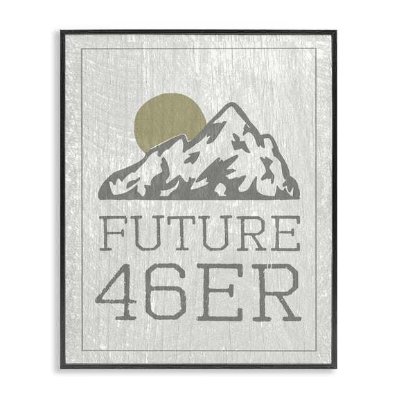 Stupell Industries Farmhouse Future 46er Hiking Adirondacks Black Framed Giclee Art, 11 x 14, by Lil' Rue