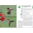 thumbnail image 2 of Birds of new york field guide - paperback: 9781591931089, 2 of 4