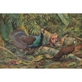 thumbnail image 3 of Louis Agassiz Fuertes 24x18 Black Modern Framed Museum Art Print Titled - Palawan Peacock Pheasant (1918-1922), 3 of 5