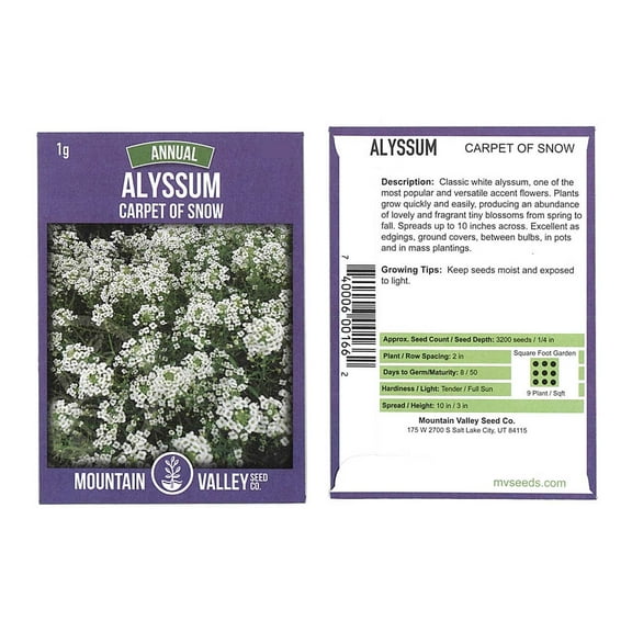 Alyssum Carpet of Snow Seeds - Packet: 1 Gram Packet - Annual Flower Garden Seeds - Lobularia maritima