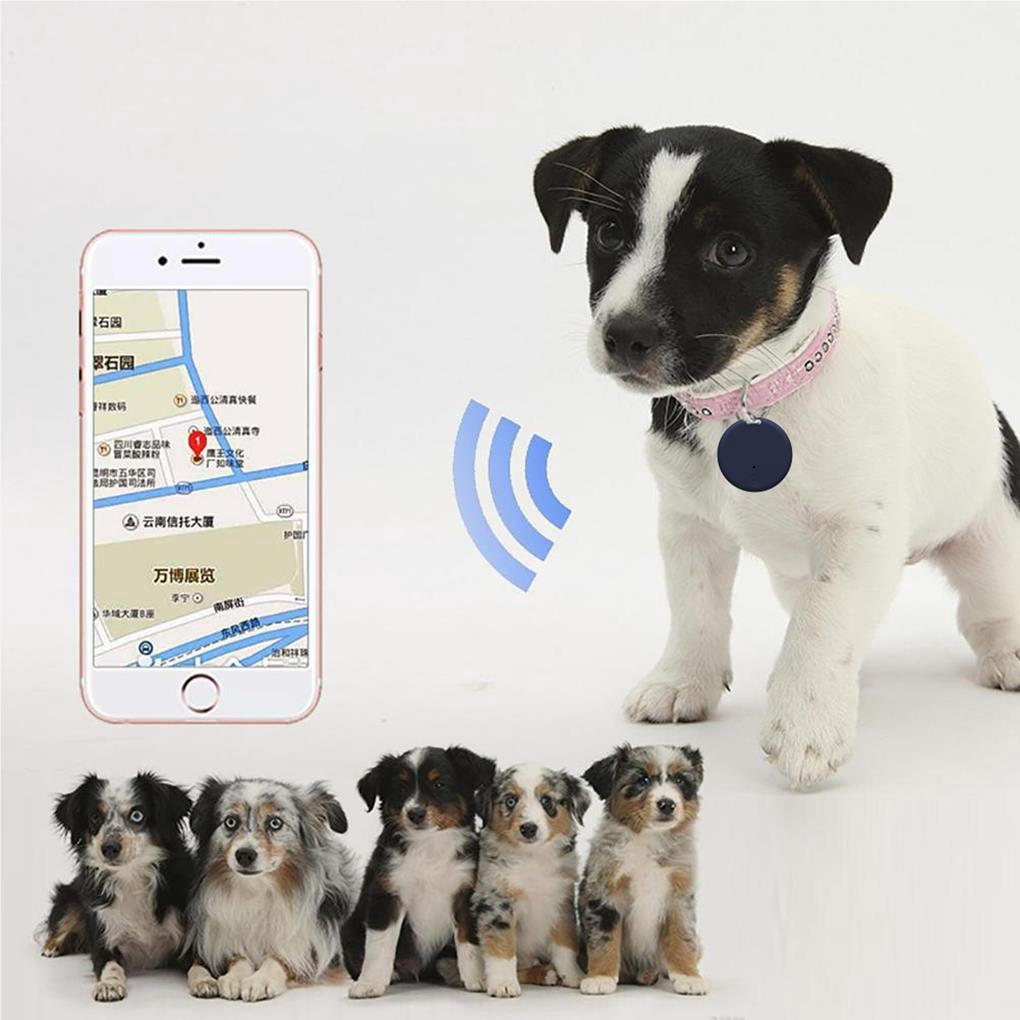Traceur GPS Anti-perte Pour Chiens Et Objets - Appairage Bluetooth Avec Smartphone - 9