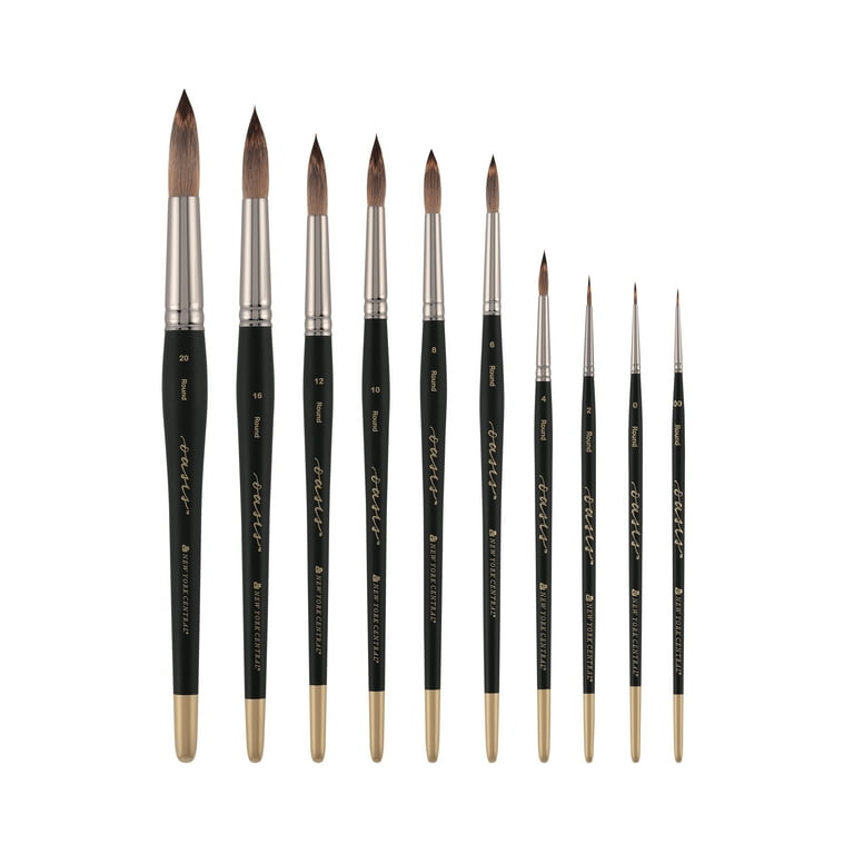 New York Central Oasis Synthetic Premium Brushes - Elite Professional  Watercolor Brushes for Artists, Painting, Students, Studios, & More! -  [Round - Size #12] 
