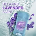 thumbnail image 3 of Secret Fresh Antiperspirant Deodorant, Clear Gel, Lavender, 2.6 oz (2 Pack), 3 of 11