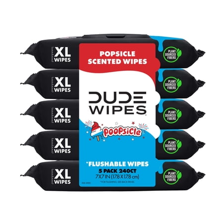 DUDE Wipes Poopsicle, Ice Pop Scented Extra Large Flushable Wipes, 48 Count, 5 Pack (240 Total)