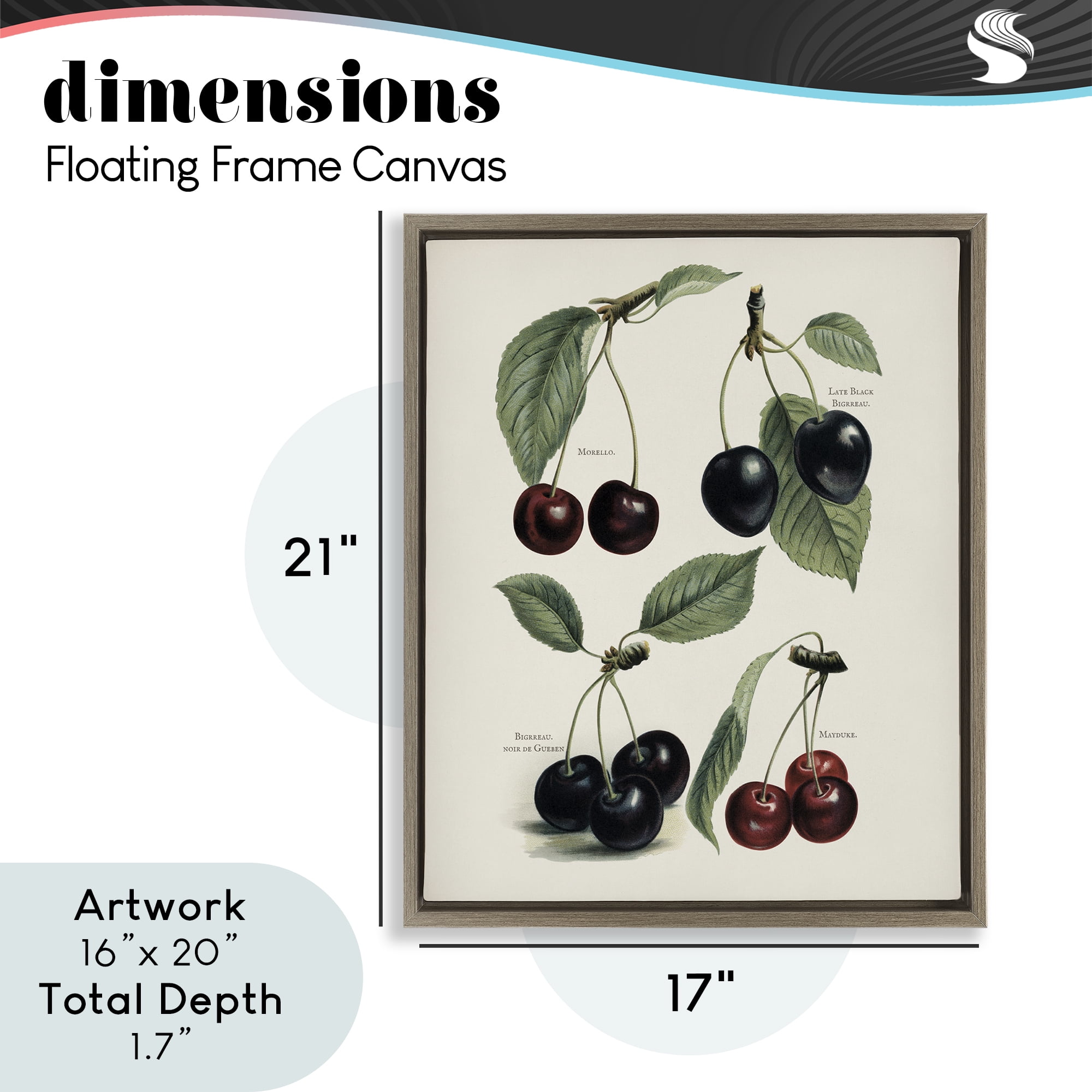Natural Detailed Cherry Studies Brown Framed Floater Canvas Wall Art, design by Lettered and Lined
