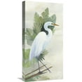 thumbnail image 1 of Global Gallery Avery Tillmon 'Standing Egret I Crop' Canvas Wall Art, 1 of 4