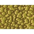 thumbnail image 1 of Ahgly Company Machine Washable Indoor Rectangle Transitional Yellow Area Rugs, 8' x 10', 1 of 7