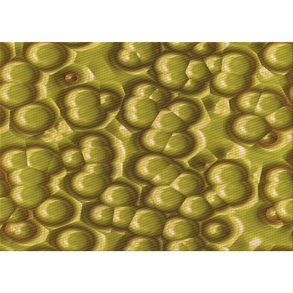 Ahgly Company Indoor Rectangle Patterned Bee Yellow Area Rugs, 6' x 9'