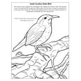 thumbnail image 5 of South Carolina State Coloring Book 8.5x11, 5 of 5