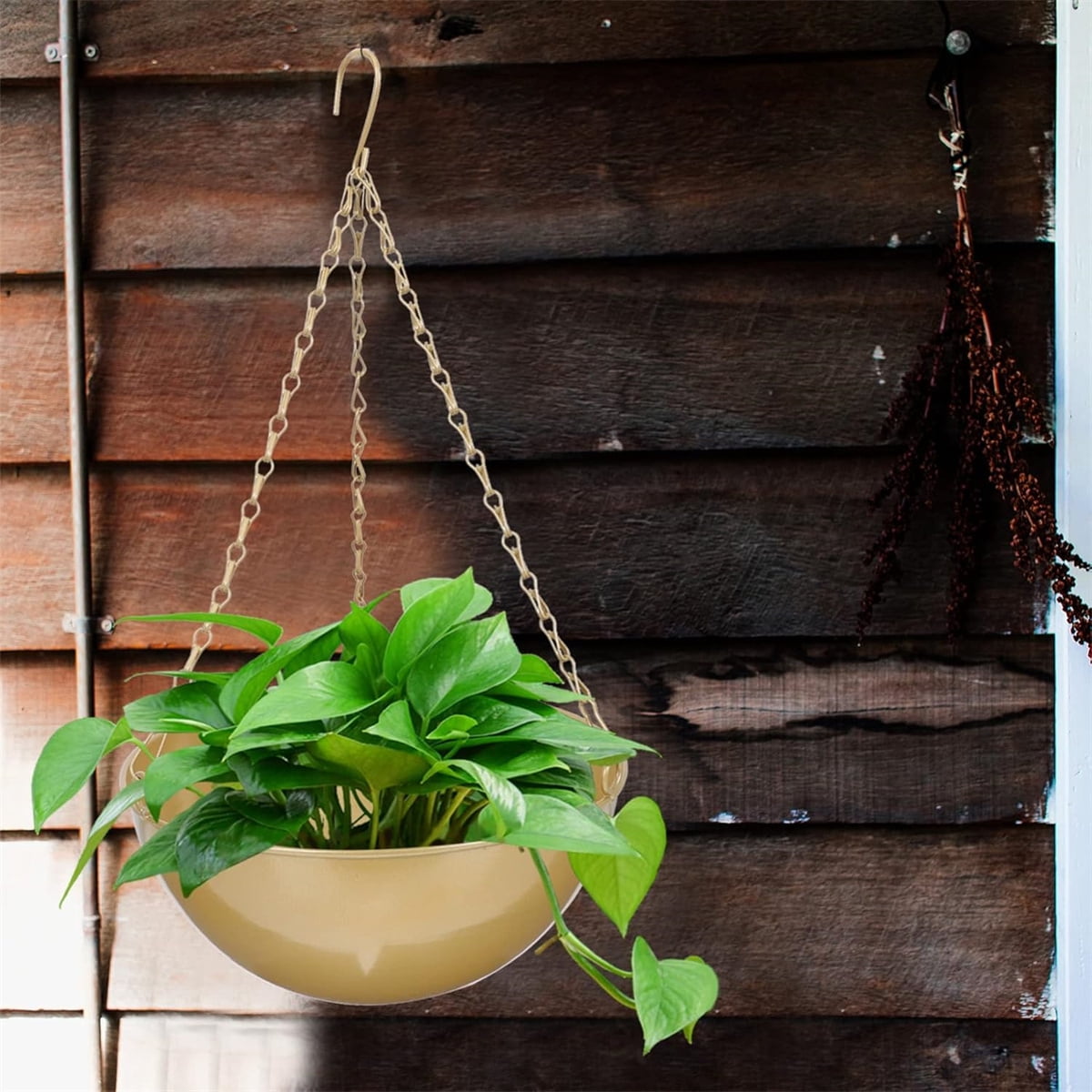 Hanging Planters with Chins,Bexikou Small Metal Plant Hanger,Hanging Basket,Metal Hanging Planters for Indoor Plants,Plant Hanger Decor for Window and Patio (Gold)