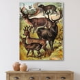 thumbnail image 2 of Designart ' Old-world Mammals I ' Farmhouse Canvas Wall Art Print, 2 of 4
