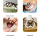 thumbnail image 4 of 3Pcs Plush Mouse Cats Toy With Squeaker Sound Colorful Feathered Chewing Hunting Activity Toy for Kittens Indoor Play, 4 of 4