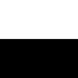 Black/White