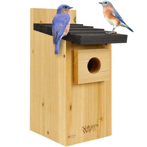 Wild Wings WWCH3 Cèdre Bleu Nichoir Maison