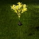 thumbnail image 1 of Lámpara De Pie De Jardín De Plástico 7 Luces Solares De Simulación De Flores Con 42 Led Blancos Cálidos, Impermeables, Para Jardín, Decoración De Césped, Color Amarillo, 73cm (1 Unidad) Rkxzt, 1 of 8