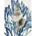 thumbnail image 3 of Kelly, Caroline 15x18 Black Modern Framed Museum Art Print Titled - Shell Coral Aqua Blue III, 3 of 5