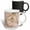 Multicolor, variant on 3drose, Bowl with Sea Shells Watercolor Illustration, 11oz Mug