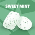 thumbnail image 2 of ORBIT WHITE Sweet Mint Sugar Free Chewing Gum, 40 Piece Resealable Bottle (Pack of 24), 2 of 8