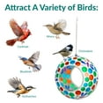 thumbnail image 6 of Sunnydaze Mosaic Glass Fly-Through Hanging Bird Feeder, 1-Cup Capacity, Dragonfly Dreams, 6 of 11