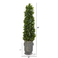 thumbnail image 2 of Nearly Natural 40in. Sweet Bay Cone Topiary Artificial Tree in Vintage Metal Planter, 2 of 2
